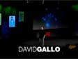 David Gallo